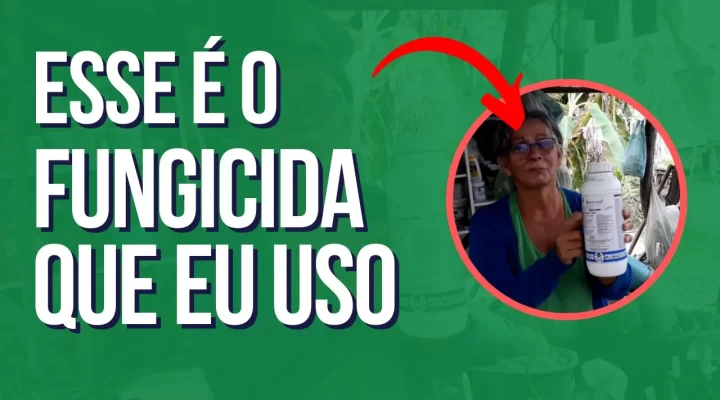 O Fungicida que Utilizo nas Minhas Rosas do Deserto