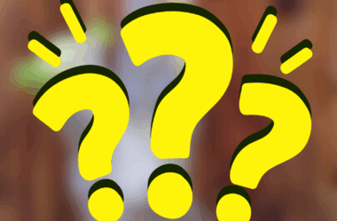 Inacreditável! Veja Minhas Rosas do Deserto Após a Poda